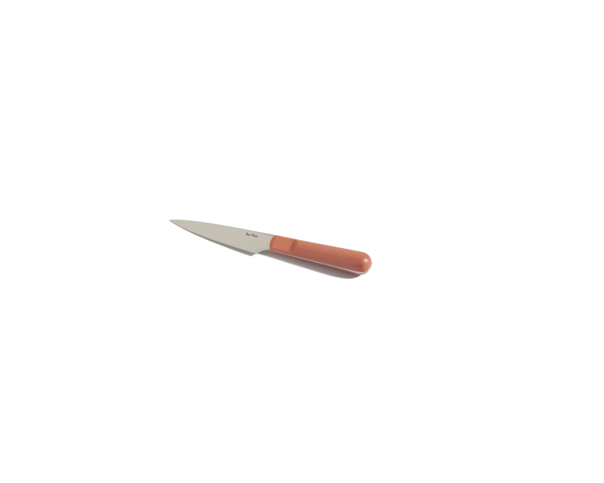 Precise Paring Knife in Spice View 1