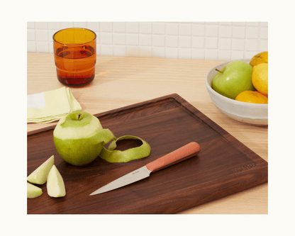 Precise Paring Knife in Spice View 3